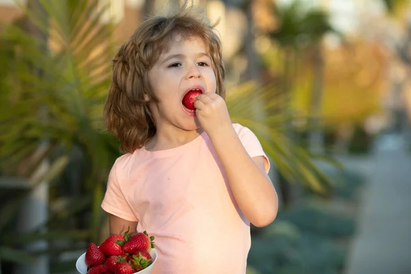 El niño feliz come fresas. Lindo niño sosteniendo una fresa. — Foto de Stock
