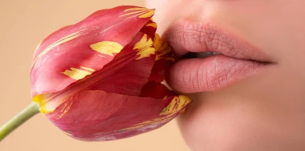 Női ajkak természetes rúzzsal. Az érzéki nők szája. Szájfény fényes szájjal. Egy fiatal nő csábító ajkai. — Stock Fotó
