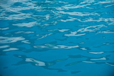 Su arka planı, dalgalanma dalgaları. Mavi yüzme havuzu deseni. Deniz yüzeyi. Yüzme havuzunda su ve güneş yansıması. Kopyalama alanı olan pankart.