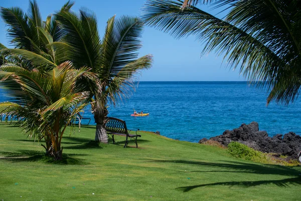 Тропический пляж с песком, океаном, пальмовыми листьями, пальмами и голубым небом. Летний пляж. — стоковое фото