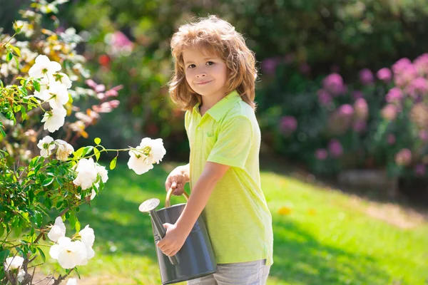 Cute curly little boy child in a summer dress working in the garden watering flowers. Kids gardening. Children working in the backyard. Kid with water can. — Stock Photo, Image