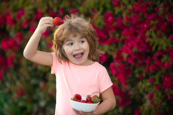 Organická výživa. Nadšený chlapeček jí jahody. Roztomilý legrační chlapeček s jahodou, venkovní. — Stock fotografie