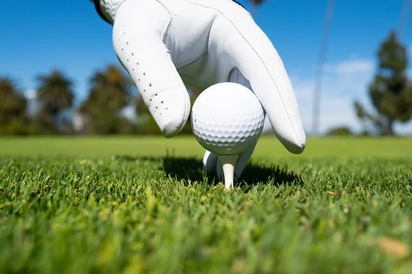 Main mettant la balle de golf sur le tee dans le terrain de golf. Boule de golf en herbe. Boule de golf sur le tee prêt à être tiré. — Photo