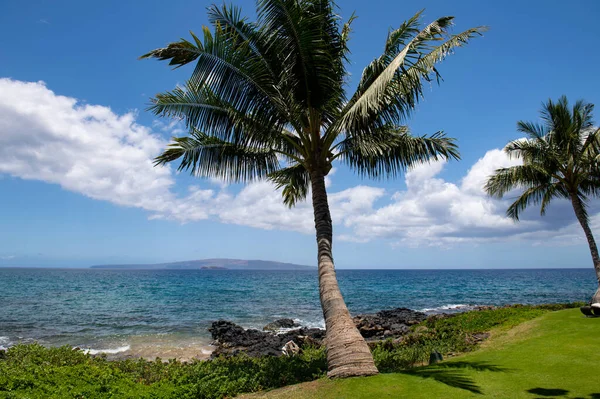 Fondo de playa hawaiano. Disfrutando del paraíso en Hawaii. Panorama de paisaje tropical de verano con palmeras. Vacaciones de lujo. Exótico paisaje de playa. Increíble naturaleza, relajarse en la naturaleza. —  Fotos de Stock