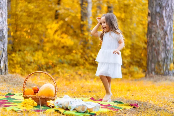 Όμορφη φθινοπωρινή εποχή στη φύση. Σαββατοκύριακο στο πικνίκ. Παιδί καυκάσιο κορίτσι με καλάθι γεμάτο φρούτα που διασκεδάζει. — Φωτογραφία Αρχείου