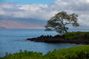 Peyzaj sükunet plajı. Hawaii arka planı, tropik Hawaii cenneti.