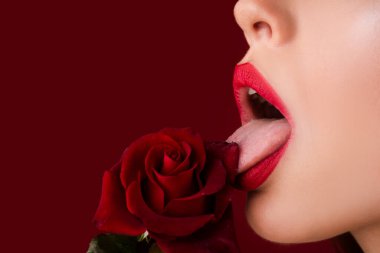 Woman with red rose, macro, on red background. Lips with lipstick closeup. Beautiful woman lips with rose. Girl blowjob with tongue, oral sex, symbol.