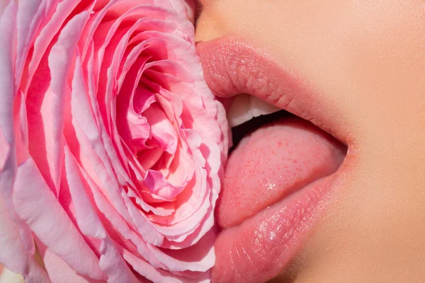 Sexy woman kissing red rose flower. Lips with lipstick closeup. Beautiful woman lips with rose. Girl blowjob with tongue, symbol.