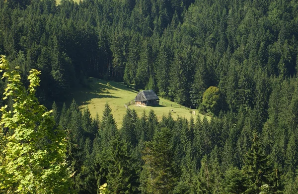 Hoog in de bergen vakantie huis lichaam en ziel — Stockfoto