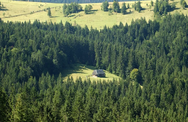 Wooden house in the mountains bird 's-eye — стоковое фото