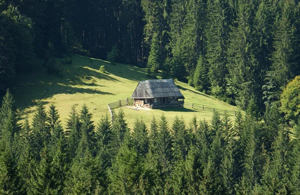 Casa de madeira nas montanhas entre as árvores — Fotografia de Stock