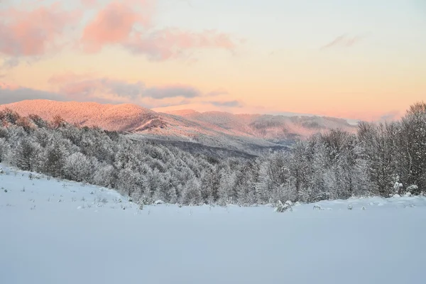 Winterlandschap. zonsondergang. — Stockfoto