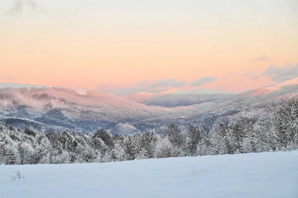Winterlandschaft. Sonnenuntergang. — Stockfoto