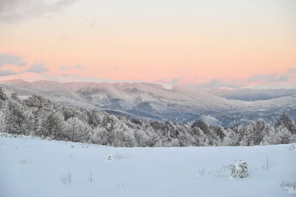Зимовий пейзаж. Захід сонця . — стокове фото