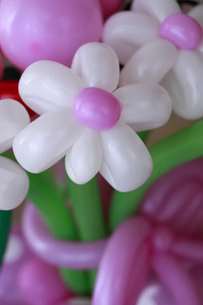 Bouquet of balloon flowers — Stock Photo, Image