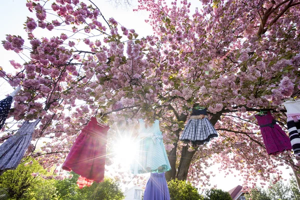 Kid's jurken op de boom — Stockfoto