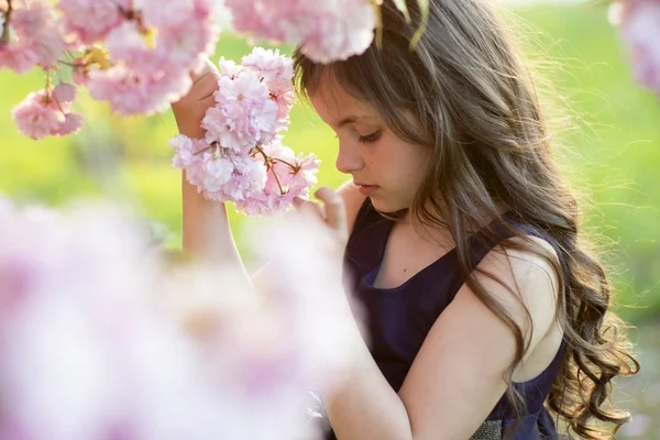 Cute girl amid cherry flowering — Stock Photo, Image