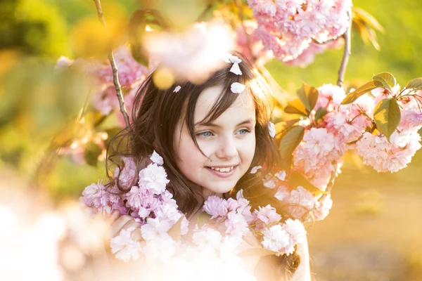 Piccola ragazza in mezzo alla fioritura di ciliegie — Foto Stock