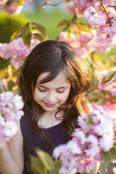 Menina pequena em meio a flor de cereja — Fotografia de Stock