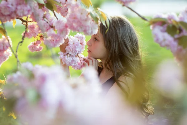 Roztomilá dívka uprostřed třešňový květ — Stock fotografie