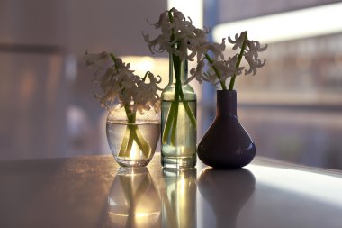 Damarlarının sümbül çiçeği