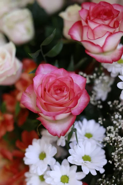 Hermosa rosa en ramo — Foto de Stock