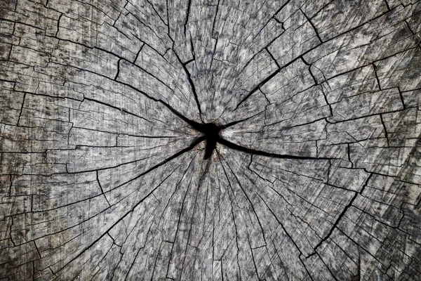 Nahaufnahme aus grauem Holz — Stockfoto
