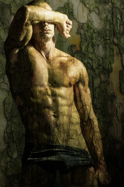 Handsome shirtless man with bark texture