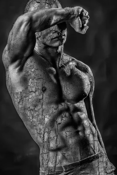 Handsome shirtless man with bark texture — Zdjęcie stockowe