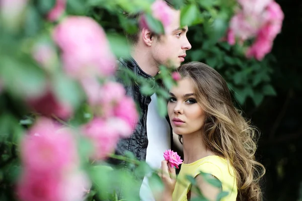 Young couple embraces near rose bush — Stockfoto