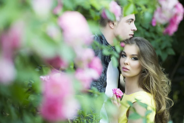 Sexy paar omvat in de buurt van rozenstruik — Stockfoto