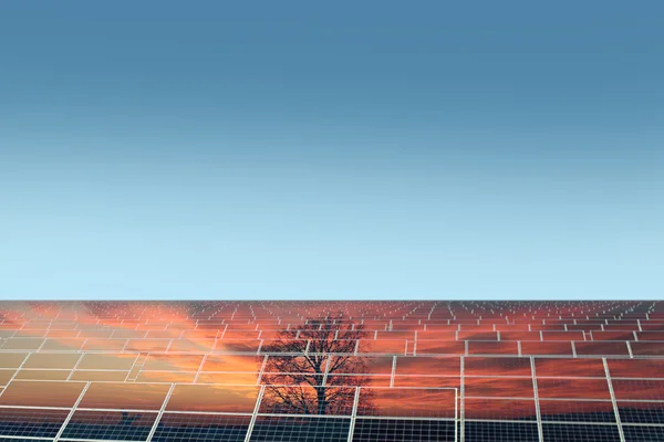 Solarmodul mit Reflexion Stockfoto
