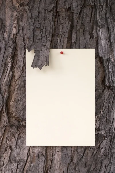 Aviso de papel en la corteza del árbol — Foto de Stock