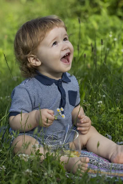 Joyful menino na grama — Fotografia de Stock