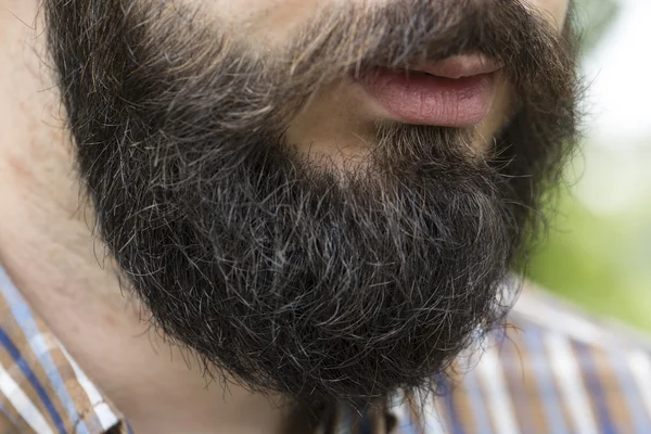 Борода молодого человека — стоковое фото