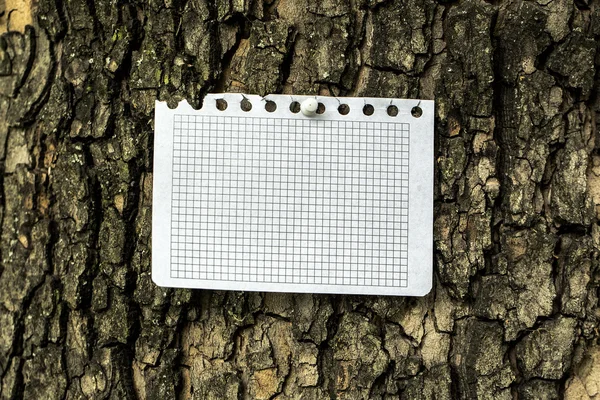 Бумажное извещение на коре дерева — стоковое фото