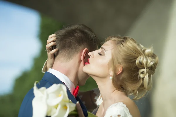 Casal de casamento atraente ao ar livre — Fotografia de Stock