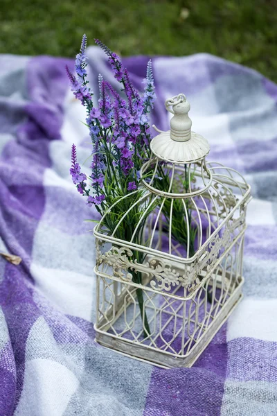 Jaula vintage con flores — Foto de Stock