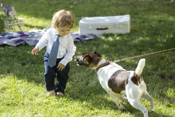 Baby boy playing with jack russes terrier — Stockfoto