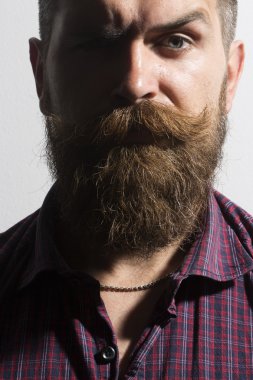 Isolated on white unshaven man