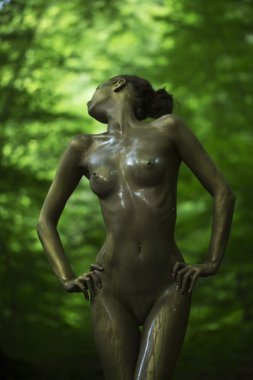 Süt ile altın kadın bedeni