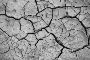 Cracked grey ground