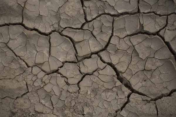 Terreno marrón agrietado — Foto de Stock