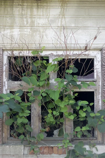 Verlassenes altes Haus — Stockfoto