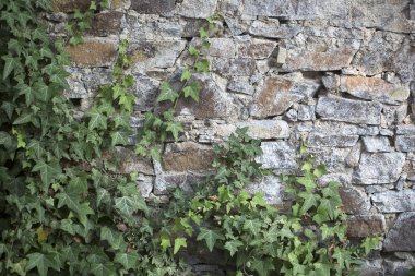 Dağcı taşlı duvar