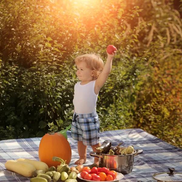 Lyckligt barn på picknick — Stockfoto