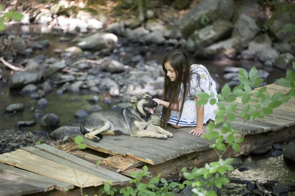 Κορίτσι και σκύλο σε γέφυρα — Φωτογραφία Αρχείου