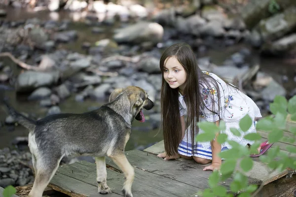 Meisje en de hond op brug — Stockfoto