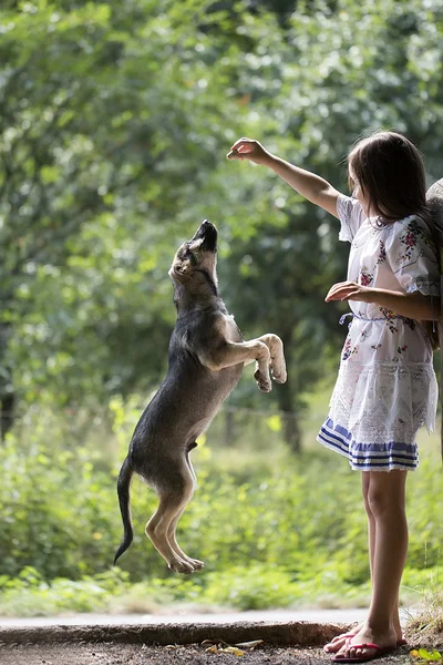 Fille avec chien — Photo