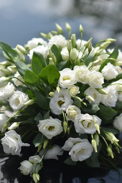 Hermoso ramo de eustoma — Foto de Stock